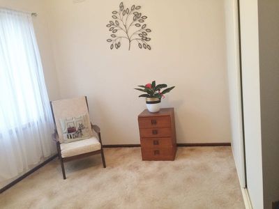 12 Willana Avenue, Hamlyn Heights