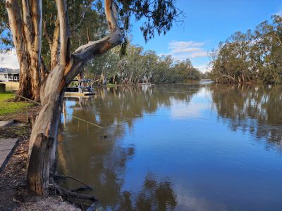 21 TEDDYS LANE, Barham