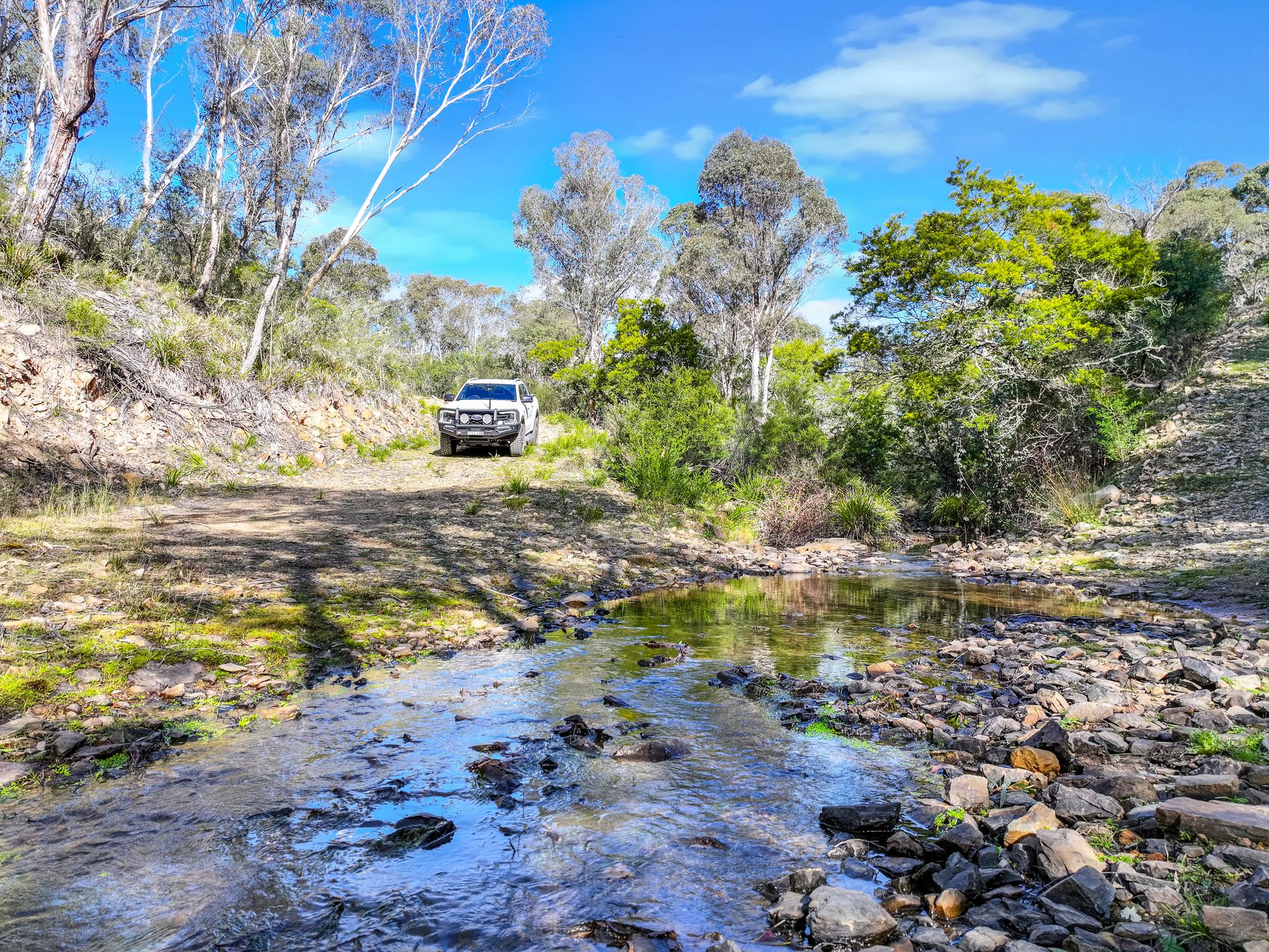 Lot 193 / 443 Back Creek Road, Mongarlowe