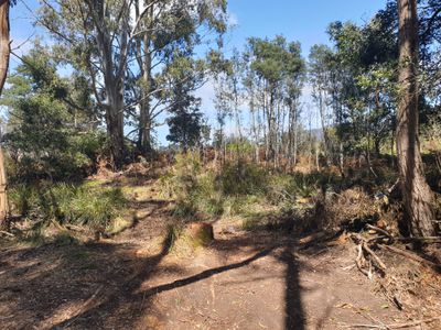 Lot 4 Holmes Road, Ellendale