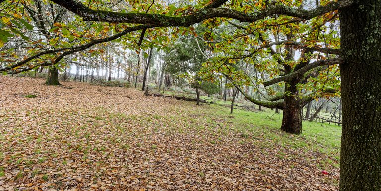 Lot 1 & 2 McCombes Road, Creek Junction