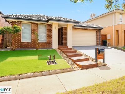 10 Water Fern Grove, Greenvale