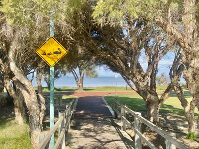 40 Governor Drive, Falcon