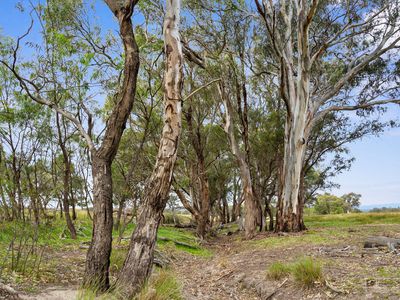 77 Taaffe Road, Wangaratta South