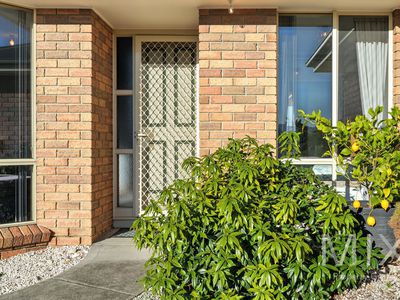 12 Melissa Street, Brighton