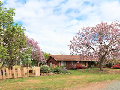 19 Corio St, Murchison