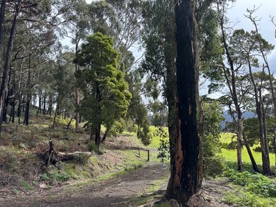 Lot 1, Sunny Hills Road, Glen Huon