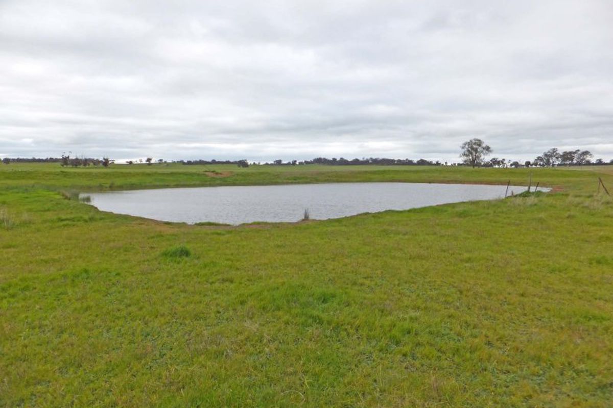 Rushworth-Tatura Road, Waranga Shores