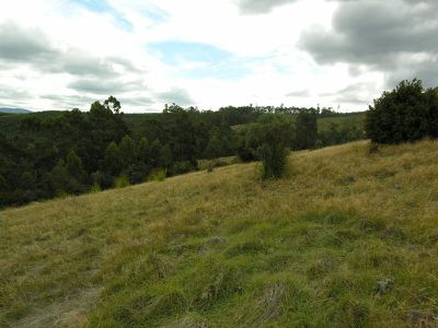 Lot 10, Cradoc Hill Road, Cygnet