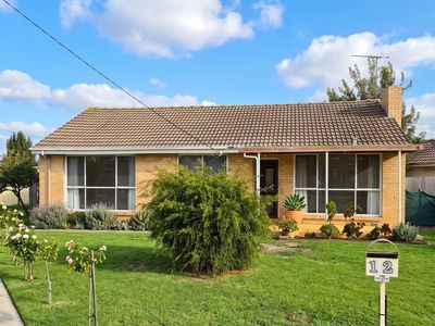 12 STEVENSTON STREET, Deer Park