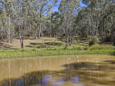 88 Altmans Road, Tolmie