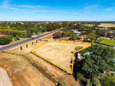 6 Orfeo Court, Griffith