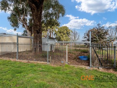 11 Koomoorang Road, Vittoria