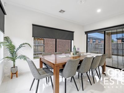 91 Aquatic Drive, Cranbourne West