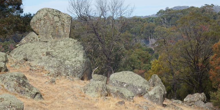 1209 Euroa Strathbogie Road Kelvin View, Euroa