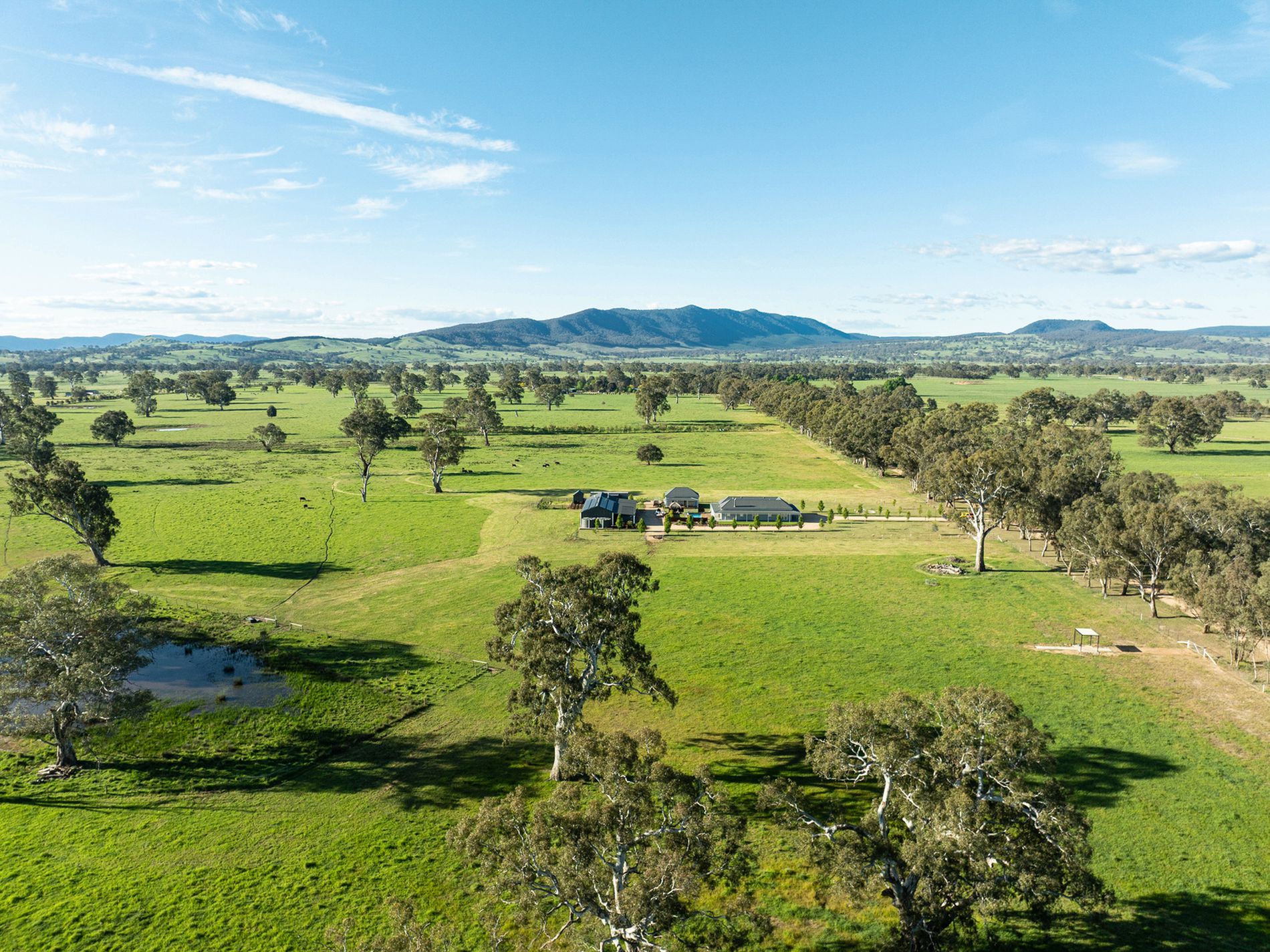 43 Dueran Lane, Mansfield
