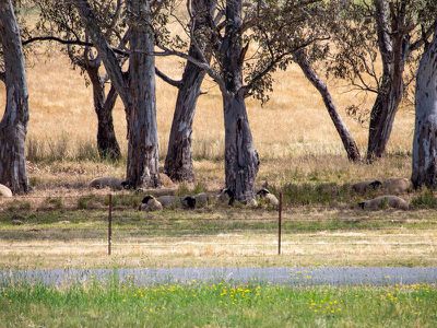 Lot 20, Loyola Run, Mansfield