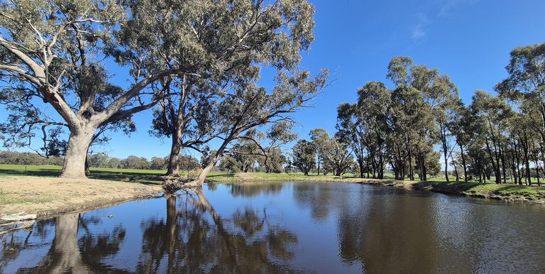 Lot 1  10 Dunnings Road, Balmattum