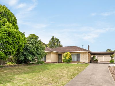 165 Mount Gambier Road, Millicent