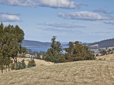 423 Slab Road, Cygnet