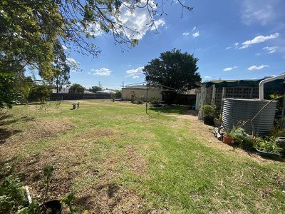 Kingaroy