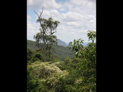 Landsborough
