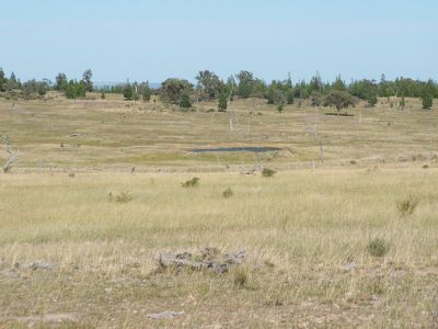 Pockett Road, Pindaroi