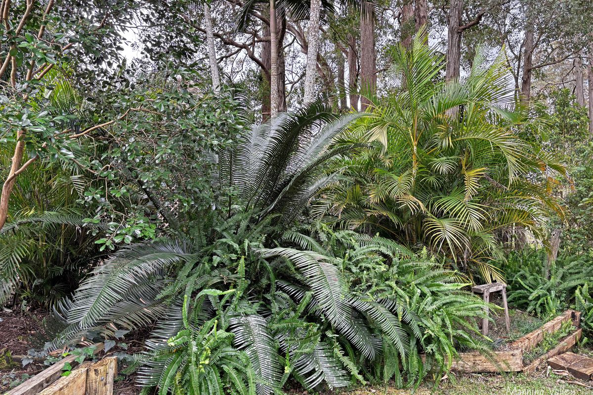 68 Iluka Circuit, Taree