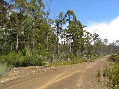 Ransley Road, Ellendale