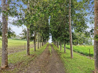 57 Anderson Road, Peeramon