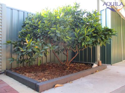 16 Percheron Entrance, Stratton