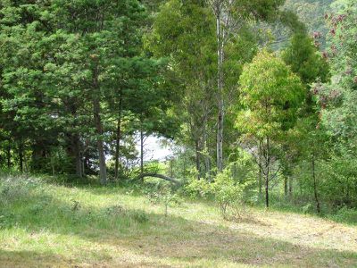 124 Dillons Hill Road, Cygnet