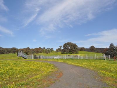 412 Vokins Creek Road, Little Billabong