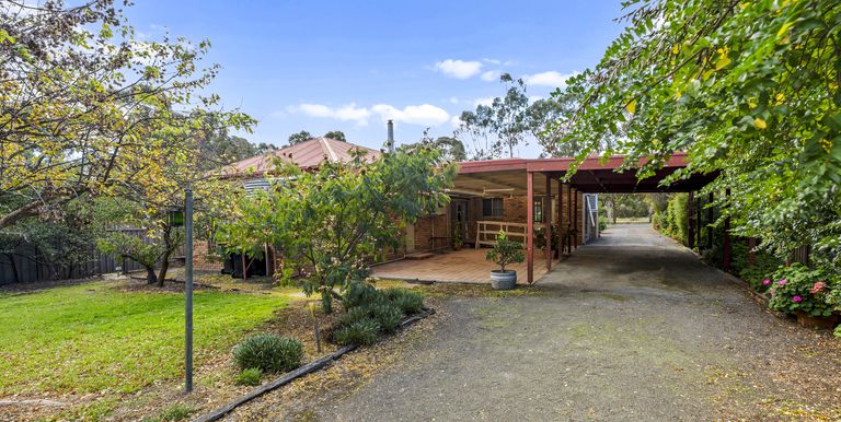 31 Shiffner Street, Violet Town