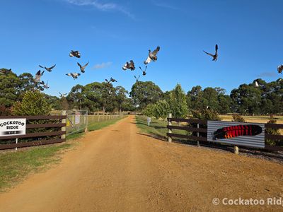 96 Rudgyard Place, Hay