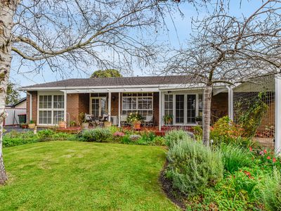 17 Adams Street, Donovans
