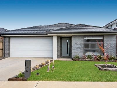 42 Castillo Avenue, Clyde North