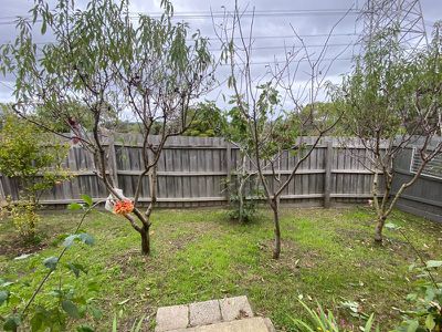 2A Erica Street, Mount Waverley