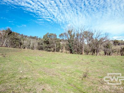 Lot 21 Halls Creek Road, Bendemeer