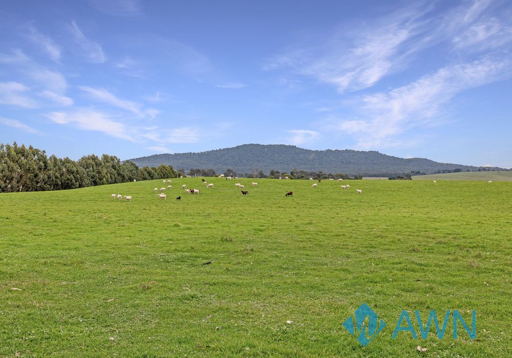 44 Richards Lane, Strathbogie