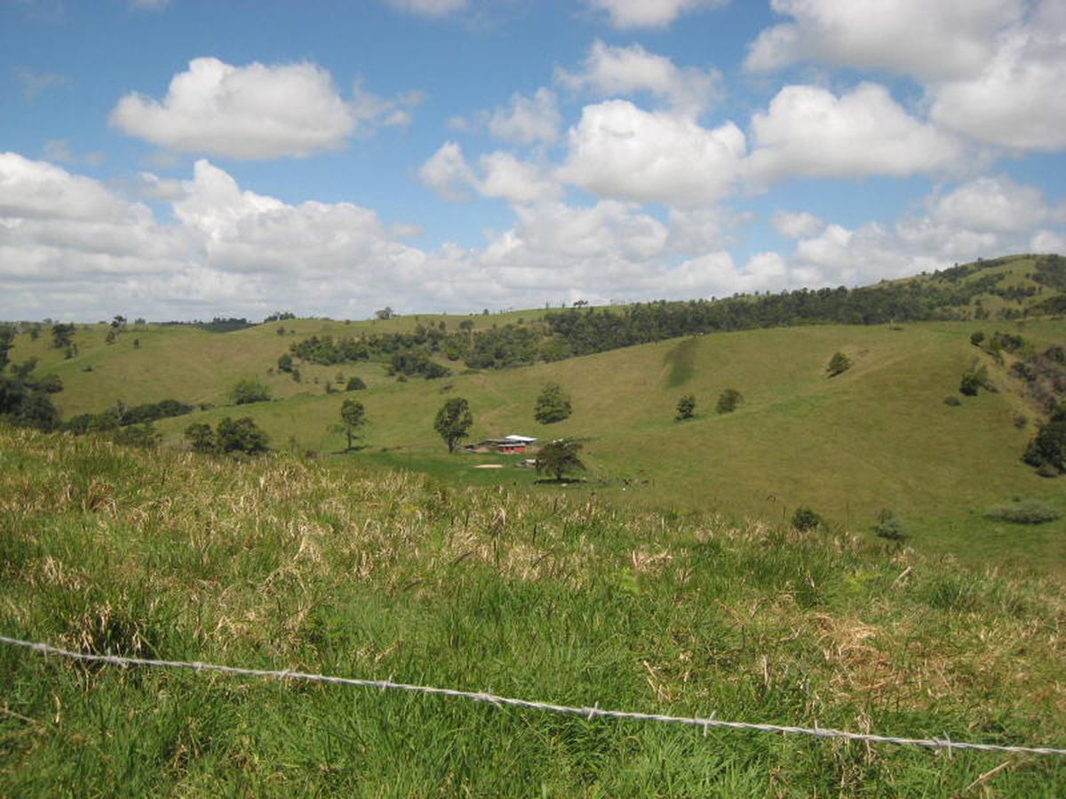 Millaa Millaa