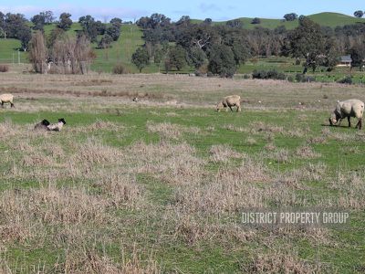 3486 Maroondah Highway, Mansfield