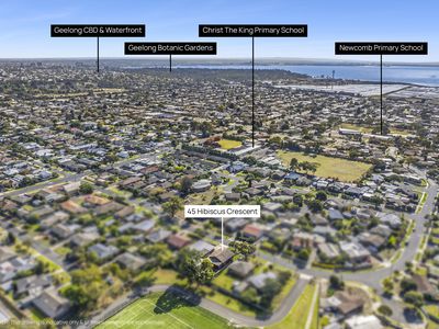 45 Hibiscus Crescent, Newcomb