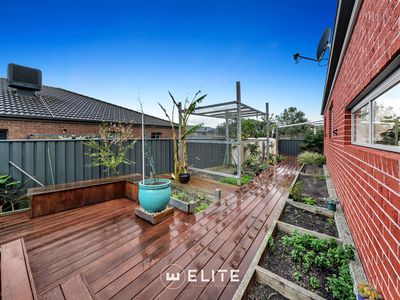 144 Alisma Boulevard, Cranbourne North