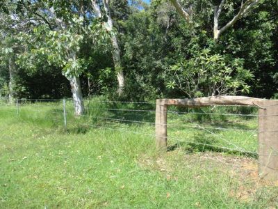 Poison Creek Road, Cooktown