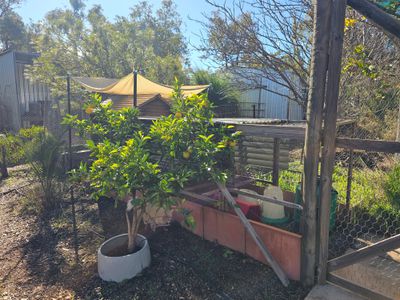 55 Blackboy Way, Morangup