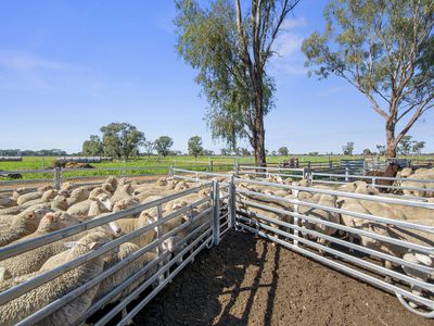 341  MV Hwy, Strathmerton