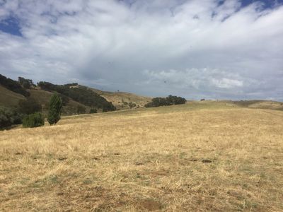 . Sandy Creek Road, Sandy Creek