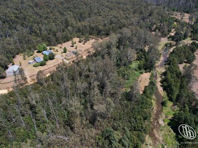 115 Gulph Creek Road, Nerrigundah