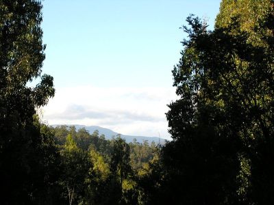 1 Maxfields Road, Franklin